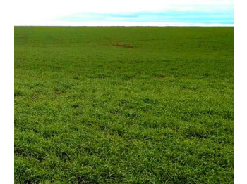 Посевной комплекс Посевной комплекс "ИРТЫШ" 10 04 R: фото 3 Посевной комплекс Посевной комплекс "ИРТЫШ" 10 04 R: фото 3