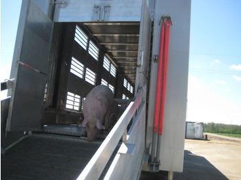 Полуприцеп для перевозки животных Полуприцеп-скотовоз Тонар-9827 с подъемными полами: фото 3 Полуприцеп для перевозки животных Полуприцеп-скотовоз Тонар-9827 с подъемными полами: фото 3
