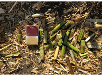 Новый Жатка кукурузная Oros HSA: фото 4