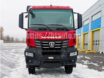 Самосвал Самосвал КАМАЗ 65951-10792-CA: фото 5