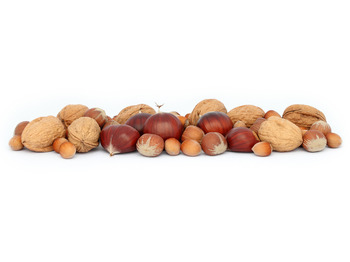 Зерносушилка СУШИЛКА 150 EN: фото 3