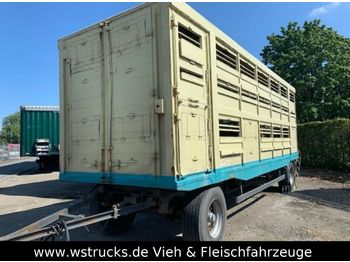 Прицеп для перевозки животных KABA Einstock mit Aufsprung Gitter: фото 1 Прицеп для перевозки животных KABA Einstock mit Aufsprung Gitter: фото 1