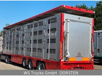 Полуприцеп для перевозки животных Menke-Janzen Menke 4 Stock Lenk Lift Typ2 Lüfter Dusche Tränk: фото 1 Полуприцеп для перевозки животных Menke-Janzen Menke 4 Stock Lenk Lift Typ2 Lüfter Dusche Tränk: фото 1