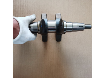 KOOP Original Crankshaft for KD192FC Engine в лизинг KOOP Original Crankshaft for KD192FC Engine: фото 2