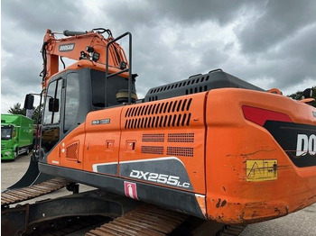 Doosan DX 255 LC-5/Schnellwechsel System/Rototilt R8  в лизинг Doosan DX 255 LC-5/Schnellwechsel System/Rototilt R8: фото 3