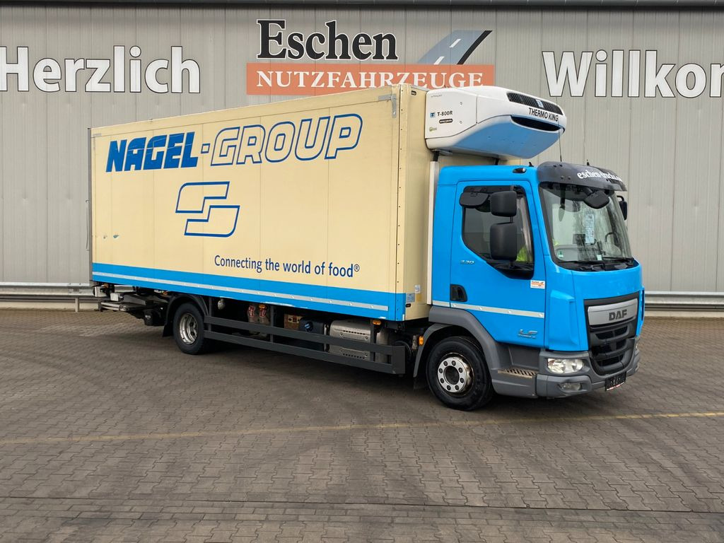 DAF LF 230 Thermo-King T800R*Diesel/Netz*2Verdampfer  в лизинг DAF LF 230 Thermo-King T800R*Diesel/Netz*2Verdampfer: фото 10