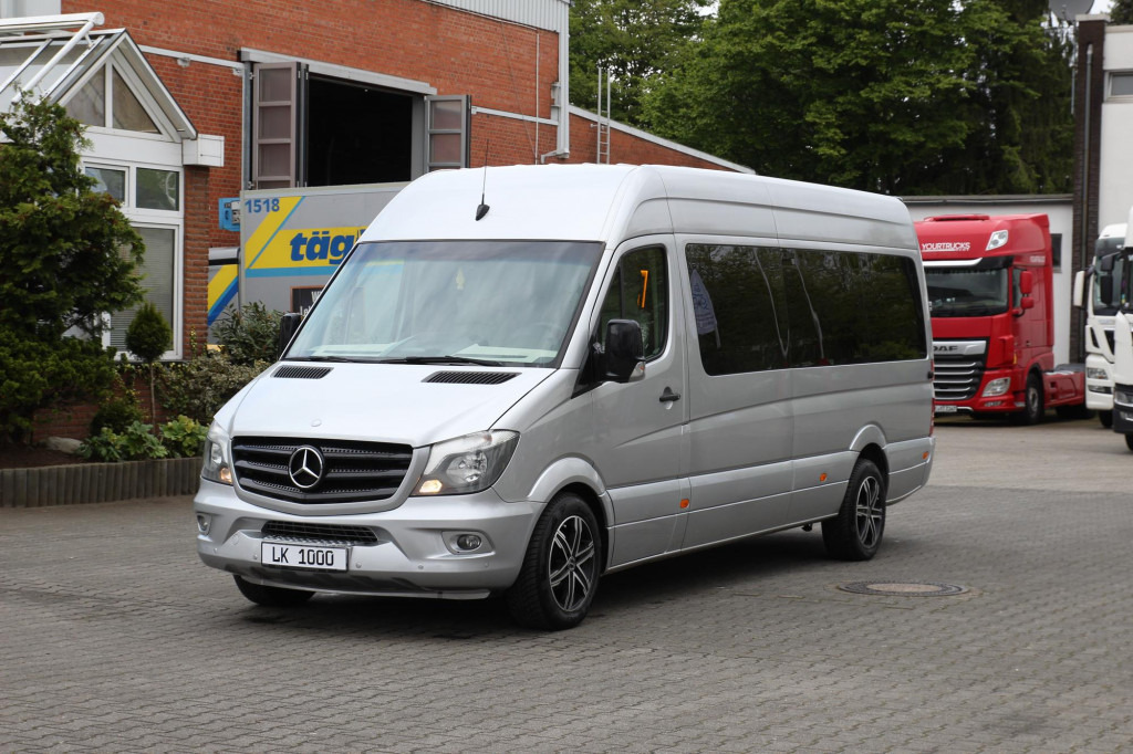 Микроавтобус, Пассажирский фургон Mercedes-Benz Sprinter 313  VIP Shuttle 9 Pers. Luxury TV LED: фото 1