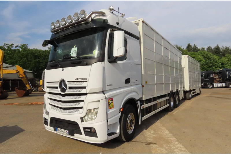 Mercedes-Benz Actros 2551 BERDEX 3 decks, All options + Berdex 12/ 2007 - Грузовик для перевозки животных: фото 3 Mercedes-Benz Actros 2551 BERDEX 3 decks, All options + Berdex 12/ 2007 - Грузовик для перевозки животных: фото 3