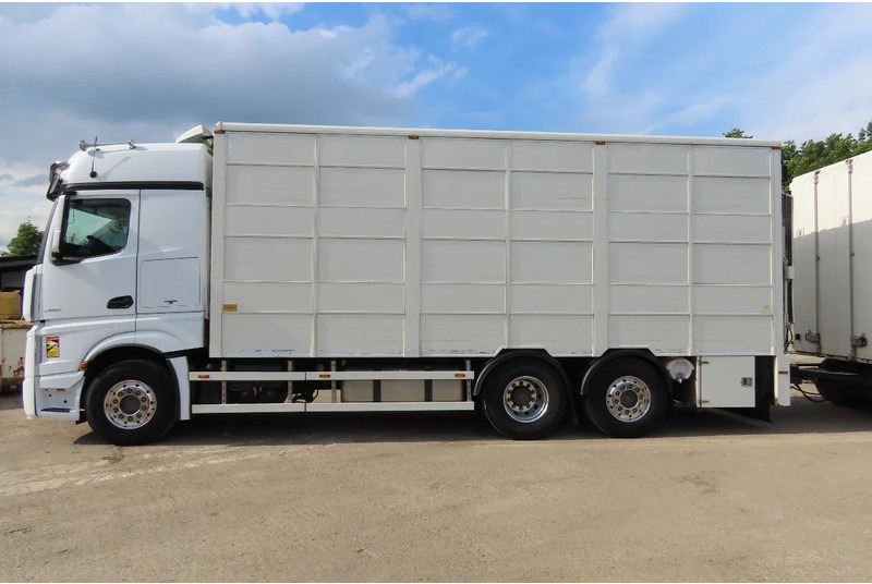 Mercedes-Benz Actros 2551 BERDEX 3 decks, All options + Berdex 12/ 2007 - Грузовик для перевозки животных: фото 4 Mercedes-Benz Actros 2551 BERDEX 3 decks, All options + Berdex 12/ 2007 - Грузовик для перевозки животных: фото 4