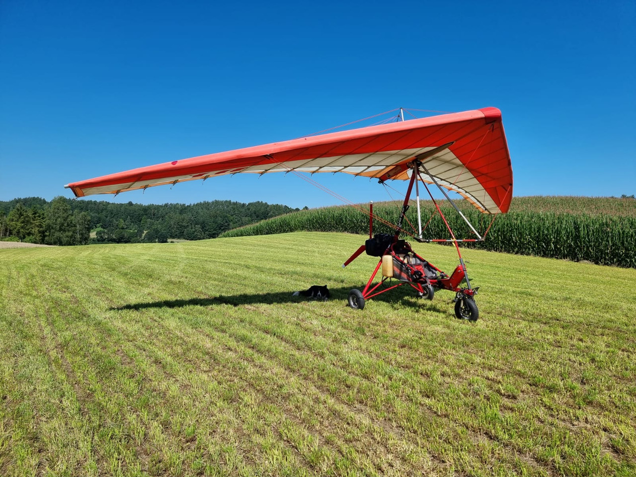 Air Creation GT BI 503-2E - Квадроцикл: фото 5 Air Creation GT BI 503-2E - Квадроцикл: фото 5