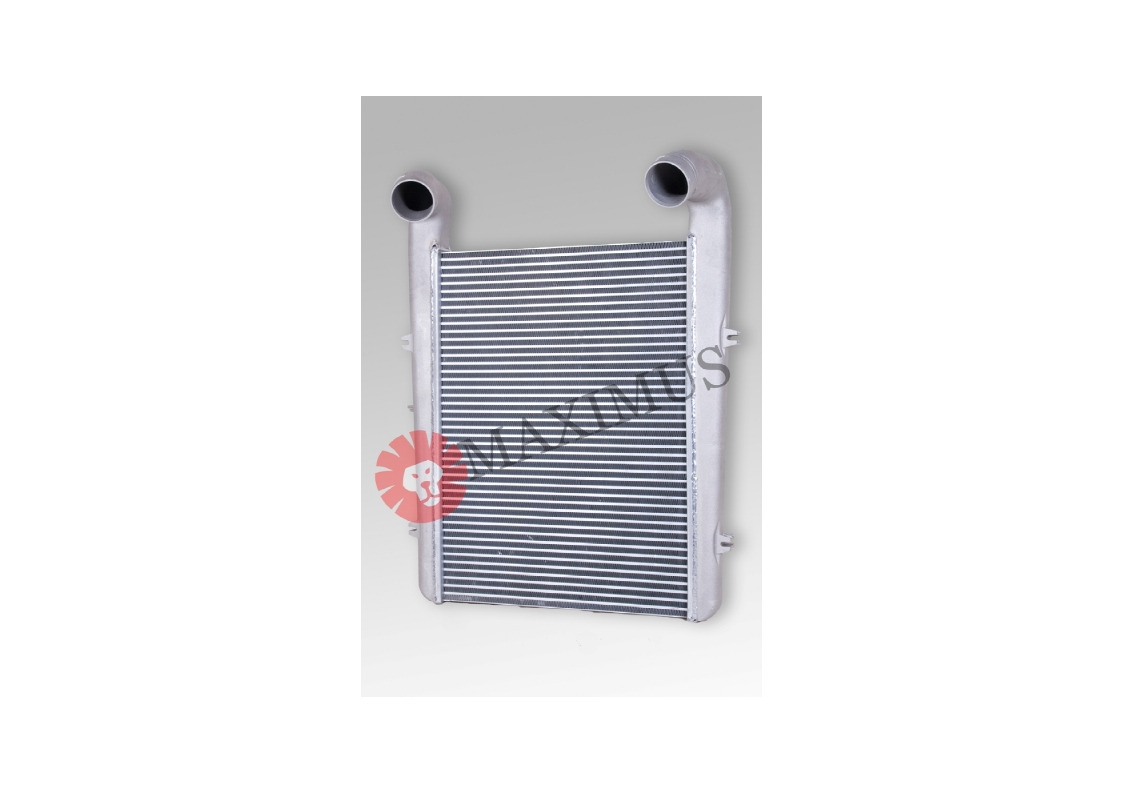 DAF XF95 - Интеркулер для Грузовиков: фото 1