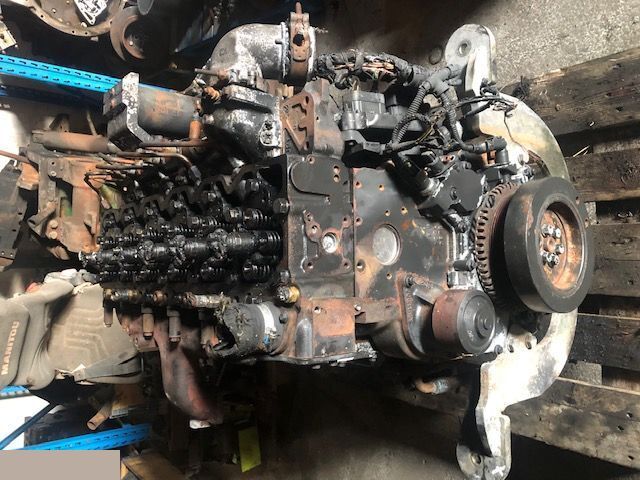 Cummins Qsb 6.7 - Głowica Cylindrów - Головка блока для Сельскохозяйственной техники: фото 1