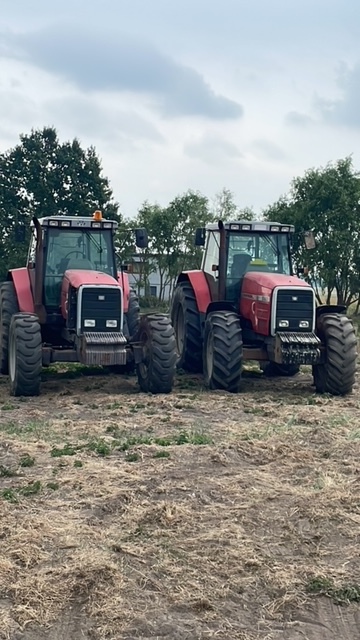 Massey ferguson 8110-8160 części skrzynia biegów zwolnica - Коробка передач для Сельскохозяйственной техники: фото 1