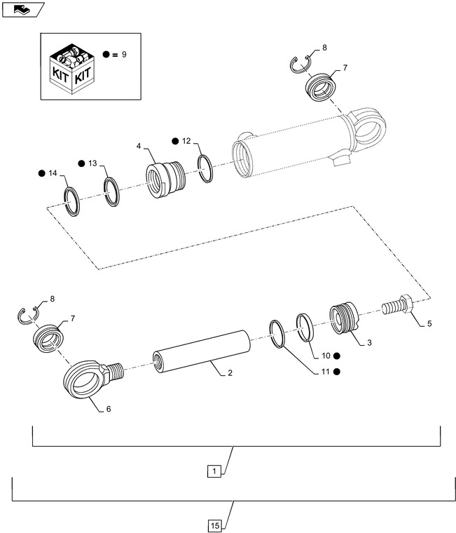 New Holland T6090 T6070 Silownik hydraul double acting, 55mm rod, 168mm stroke 84365646 - Гидравлический цилиндр для Тракторов: фото 1