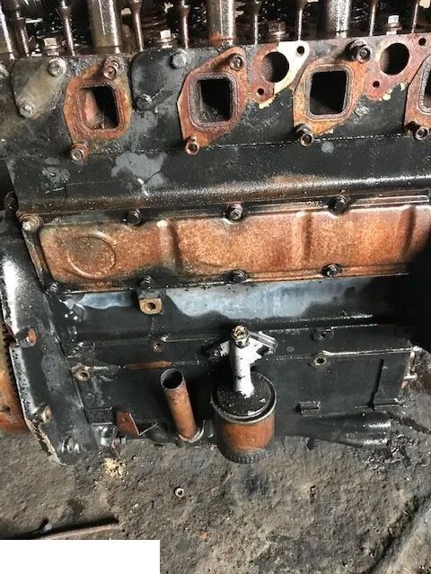 Silnik Case D239 - Głowica - Головка блока для Сельскохозяйственной техники: фото 1 Silnik Case D239 - Głowica - Головка блока для Сельскохозяйственной техники: фото 1