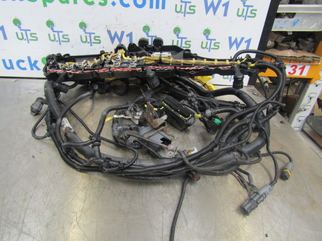 MAN TGM 340 DO836 FULL ENGINE WIRING HARNESS - Электрическая система для Грузовиков: фото 1