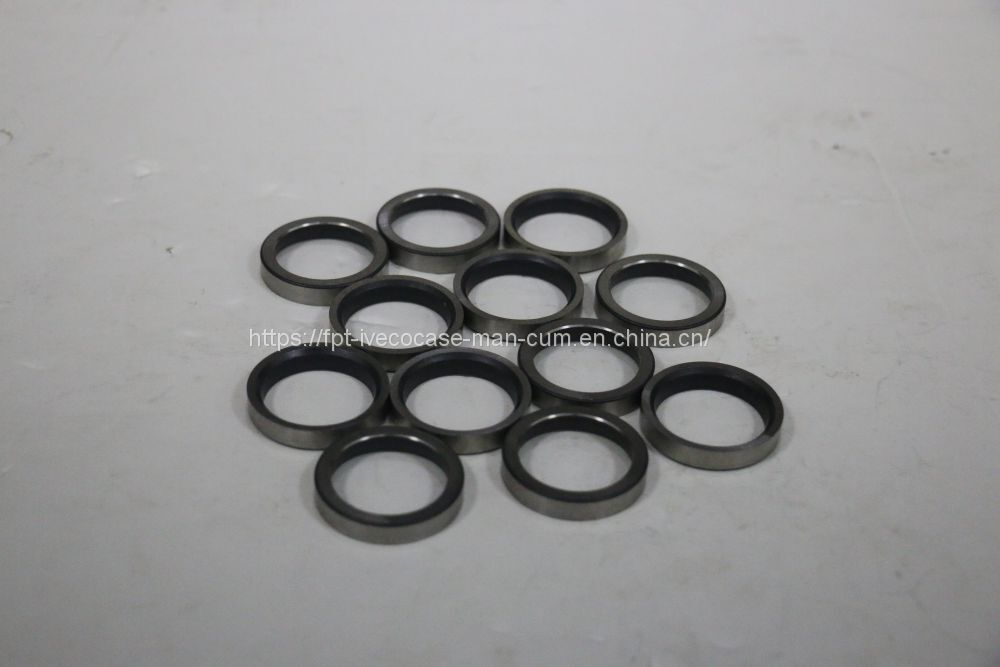 FPT IVECO CASE Cursor9 F2CFE614A*B041/F2CGE614F*V004 5802431166 Exhaust Valve Seat 5801388691 - Клапан: фото 1 FPT IVECO CASE Cursor9 F2CFE614A*B041/F2CGE614F*V004 5802431166 Exhaust Valve Seat 5801388691 - Клапан: фото 1