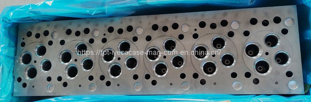 MAN D0836 51031006275 51031006273 Cylinder head - Головка блока: фото 1