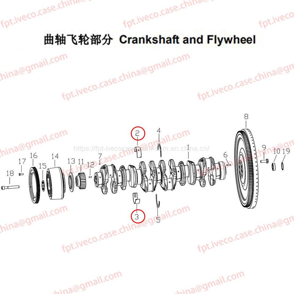 MAN D0836 Main-bearing 01113-0129/01113-0130 - Подшипник двигателя: фото 1 MAN D0836 Main-bearing 01113-0129/01113-0130 - Подшипник двигателя: фото 1