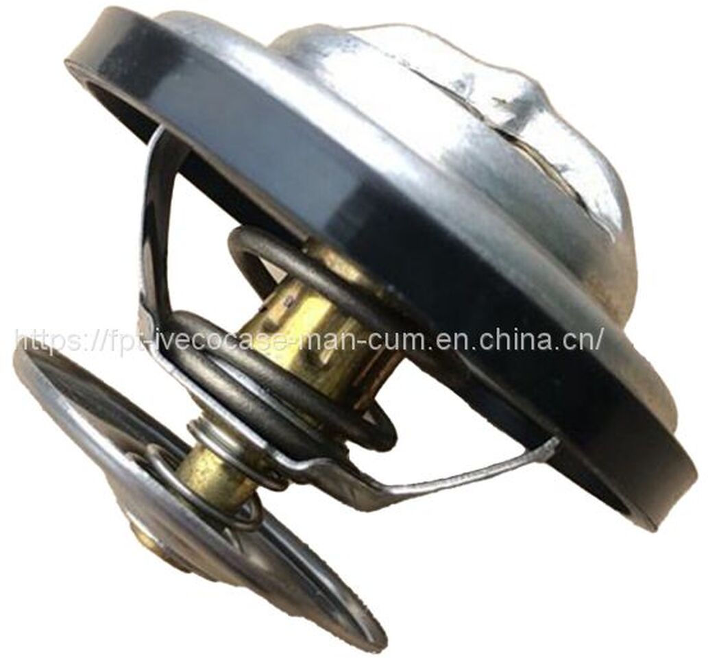 MAN D2066 Thermostat 83 ℃ ~ 95 ℃ 06402-6005 - Термостат: фото 1 MAN D2066 Thermostat 83 ℃ ~ 95 ℃ 06402-6005 - Термостат: фото 1