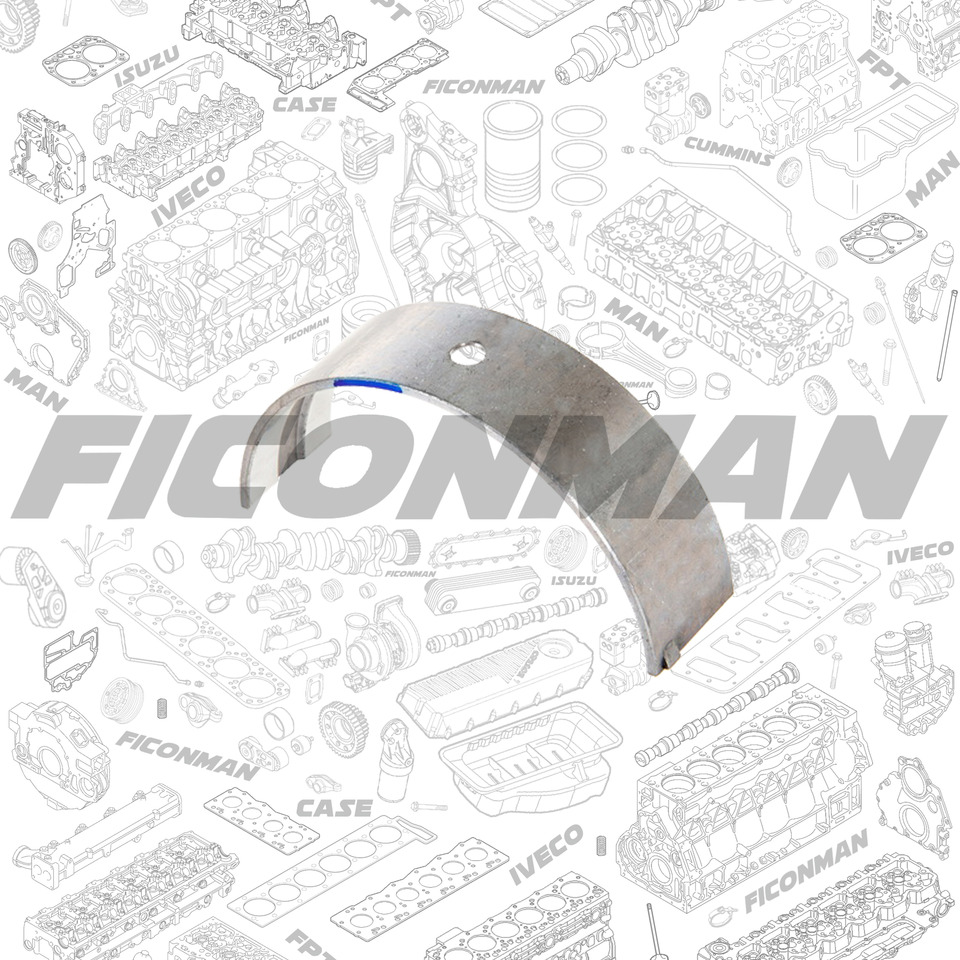 Ford Ford Trucks F-MAX ECOTORQ 9L BRG CSHAFT MN UPR BLUE T163986 6C466333AAA - Подшипник двигателя для Грузовиков: фото 1 Ford Ford Trucks F-MAX ECOTORQ 9L BRG CSHAFT MN UPR BLUE T163986 6C466333AAA - Подшипник двигателя для Грузовиков: фото 1