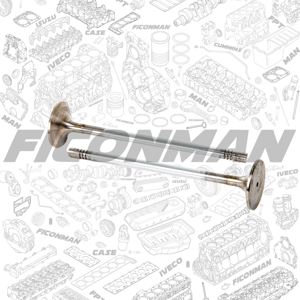 Ford Ford Trucks F-MAX ECOTORQ 9L Intake Valve 2C466507-CA ,T162806, 2C466507CA - Клапан для Грузовиков: фото 1 Ford Ford Trucks F-MAX ECOTORQ 9L Intake Valve 2C466507-CA ,T162806, 2C466507CA - Клапан для Грузовиков: фото 1