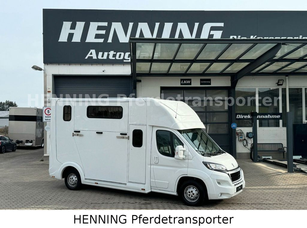 Peugeot Boxer 3 - Sitzer *ETAGENBETT* *AUFBAU NEU* - Коневоз: фото 1 Peugeot Boxer 3 - Sitzer *ETAGENBETT* *AUFBAU NEU* - Коневоз: фото 1