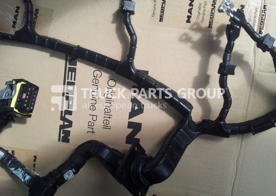 MAN TGA, TGX, TGS, TGM, TGL, EURO3, EURO4, EURO5, EURO6 cable harnes wiring - Кабели/ Провода для Грузовиков: фото 1 MAN TGA, TGX, TGS, TGM, TGL, EURO3, EURO4, EURO5, EURO6 cable harnes wiring - Кабели/ Провода для Грузовиков: фото 1