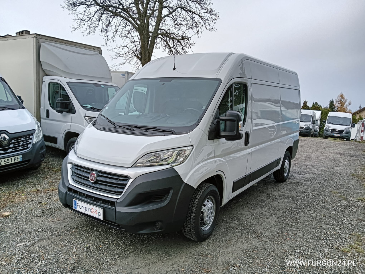 FIAT DUCATO FURGON BLASZAK L2H2 NR 787 - Легковой фургон: фото 1 FIAT DUCATO FURGON BLASZAK L2H2 NR 787 - Легковой фургон: фото 1