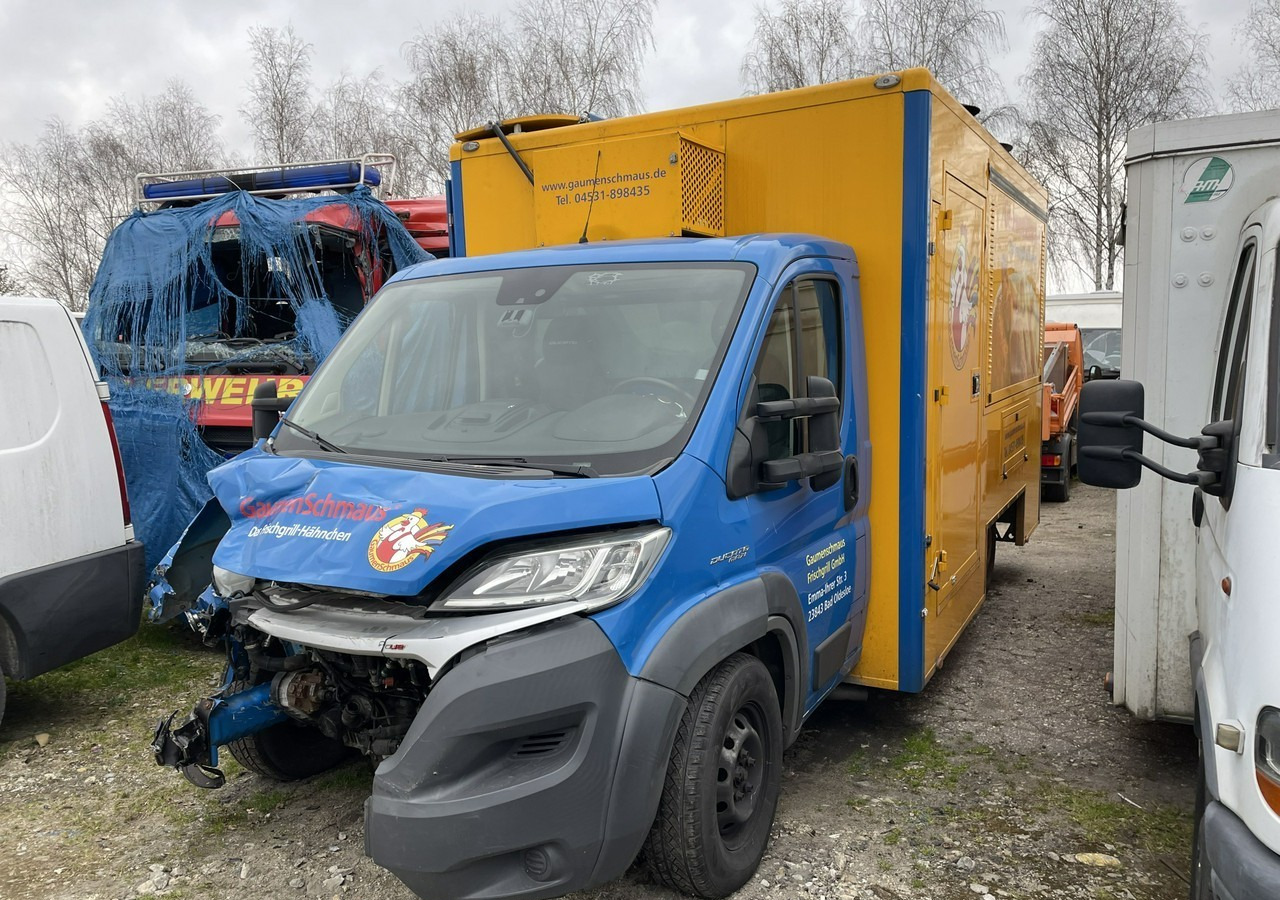 Fiat Ducato Ducato Autogrill Autosklep Foodtruck food truck Gastronomiczny 2018 - Торговый грузовик: фото 2 Fiat Ducato Ducato Autogrill Autosklep Foodtruck food truck Gastronomiczny 2018 - Торговый грузовик: фото 2