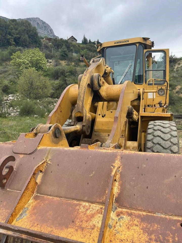CAT 950B  в лизинг CAT 950B: фото 8