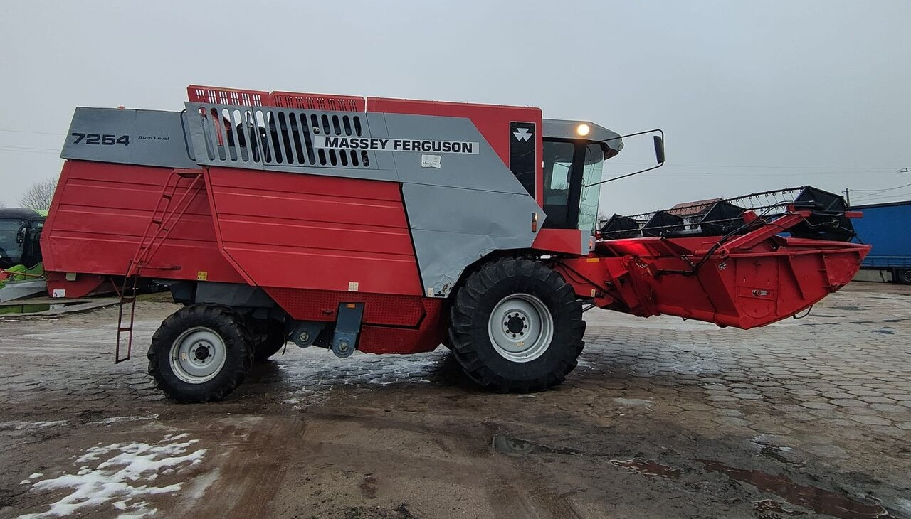 Massey Ferguson 7254 Kombajn zbożowy Heder 6m - Жатка зерновая: фото 1
