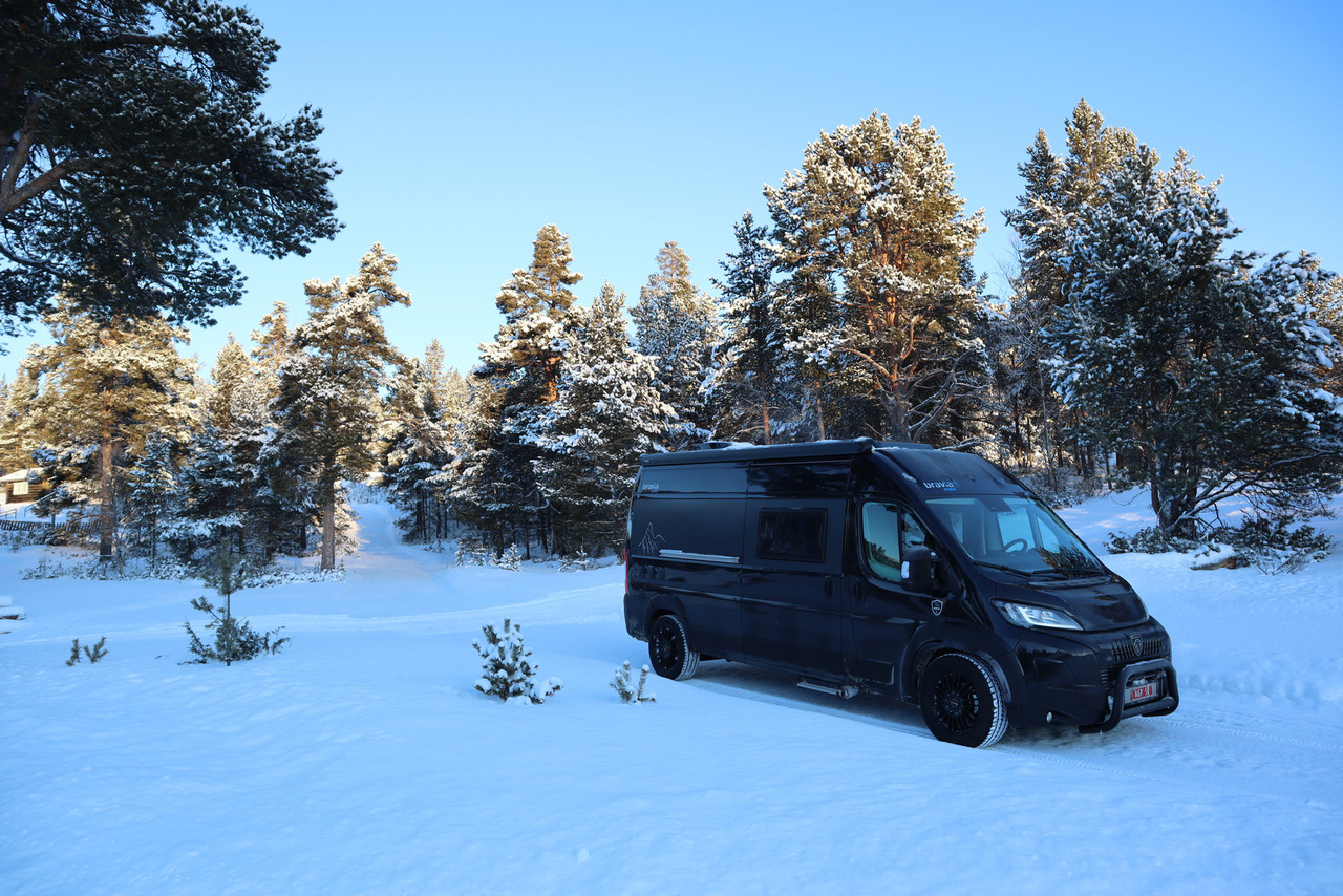 Bravia Swan 599 Nordic - Кастенваген: фото 1