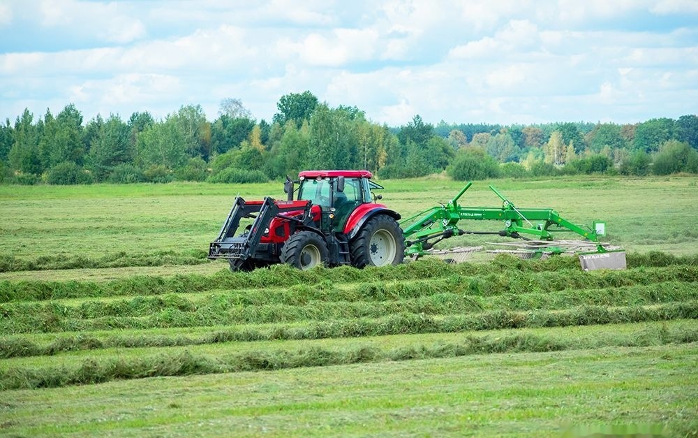 Pronar Dwu karuzelowa ZKP 801 - Сеноворошилка: фото 1 Pronar Dwu karuzelowa ZKP 801 - Сеноворошилка: фото 1