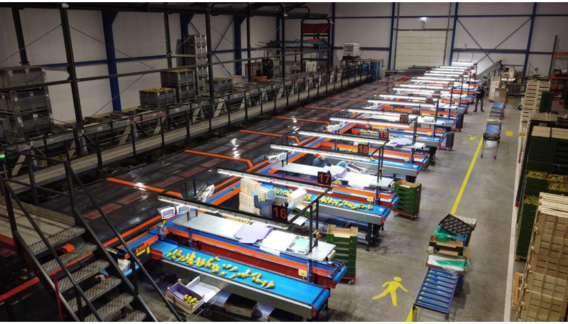 Wamel-Perfect Unigrader - Сельскохозяйственная техника: фото 1