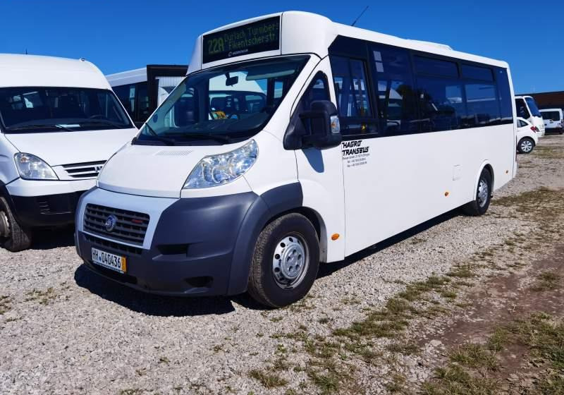 Fiat Ducato miejski, przewóz osób niepełnosprawnych - Микроавтобус, Пассажирский фургон: фото 1 Fiat Ducato miejski, przewóz osób niepełnosprawnych - Микроавтобус, Пассажирский фургон: фото 1