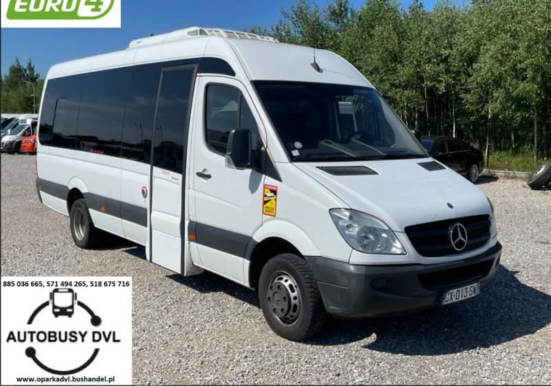Mercedes-Benz Sprinter 2008 - Микроавтобус, Пассажирский фургон: фото 1
