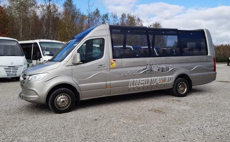 Туристический автобус Mercedes-Benz Sprinter 519 3.0 CDI V6 *CABRIO*2x klima*40tys km: фото 11