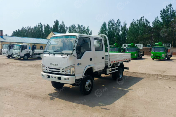 Бортовой грузовик ISUZU 4x4 дв 88Kw 100P двойная кабина, двигатель 3л, кузов 3235х1790х380 - Грузовик бортовой/ Платформа: фото 1 Бортовой грузовик ISUZU 4x4 дв 88Kw 100P двойная кабина, двигатель 3л, кузов 3235х1790х380 - Грузовик бортовой/ Платформа: фото 1