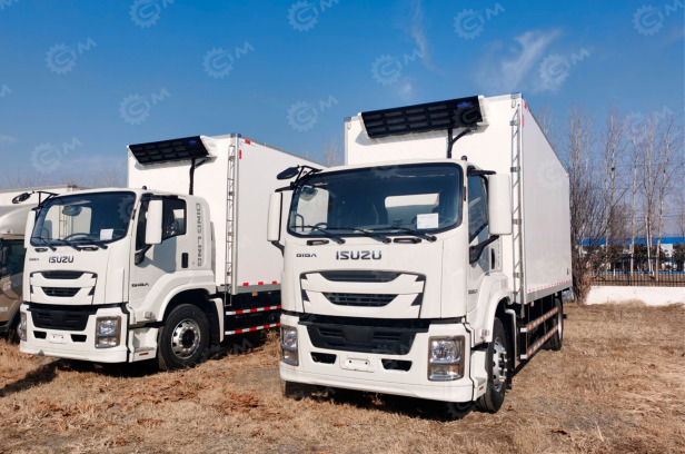 Рефрижератор Фургон рефрижератор на шасси ISUZU 4х2 дв 151kw гп 10 тонн фургон 8800х2410х2500 холодильная установка Carrier Citimax C1100: фото 1