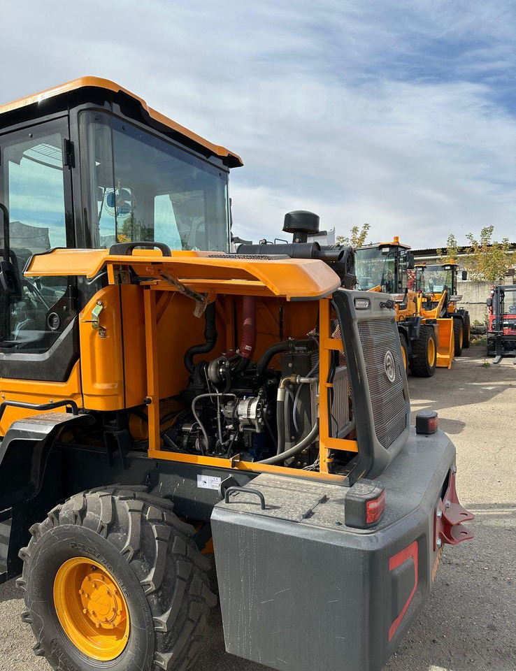 Новый Колёсный погрузчик Rantex ZL20: фото 16 Новый Колёсный погрузчик Rantex ZL20: фото 16