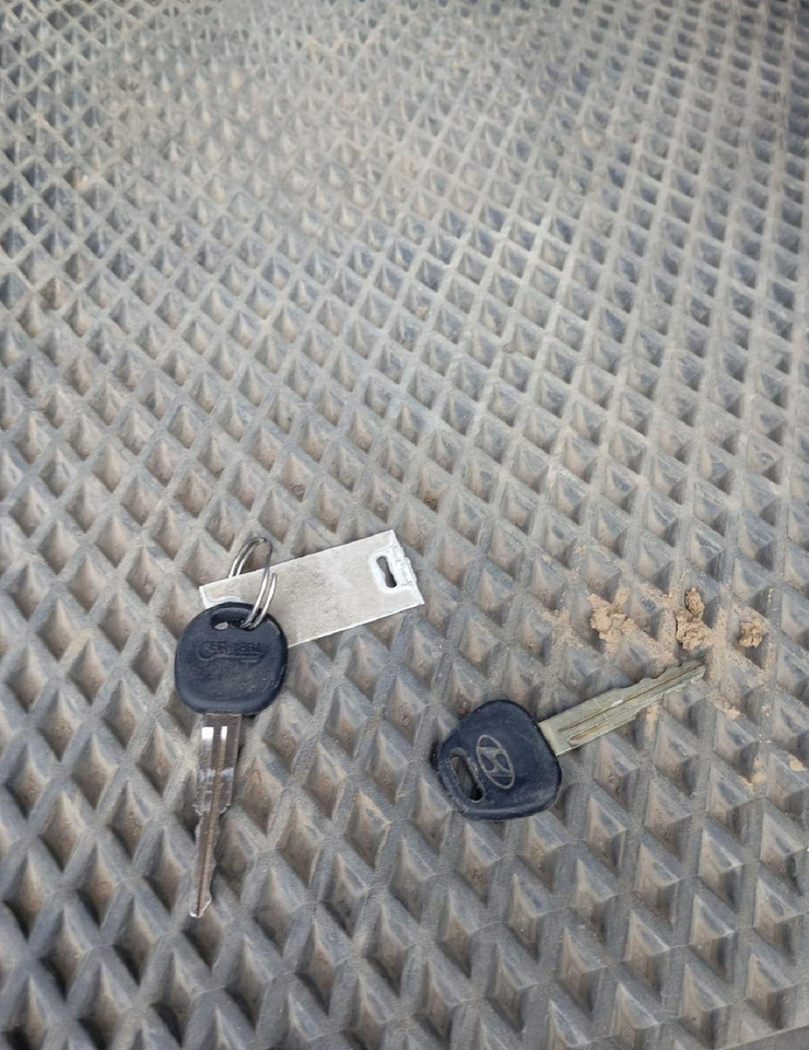 Автоманипулятор Hyundai Gold: фото 7