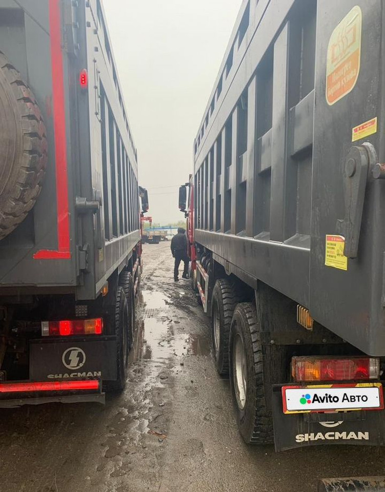 Самосвал 35 м³ Shacman SX33186T366, 2022 - Самосвал: фото 3 Самосвал 35 м³ Shacman SX33186T366, 2022 - Самосвал: фото 3
