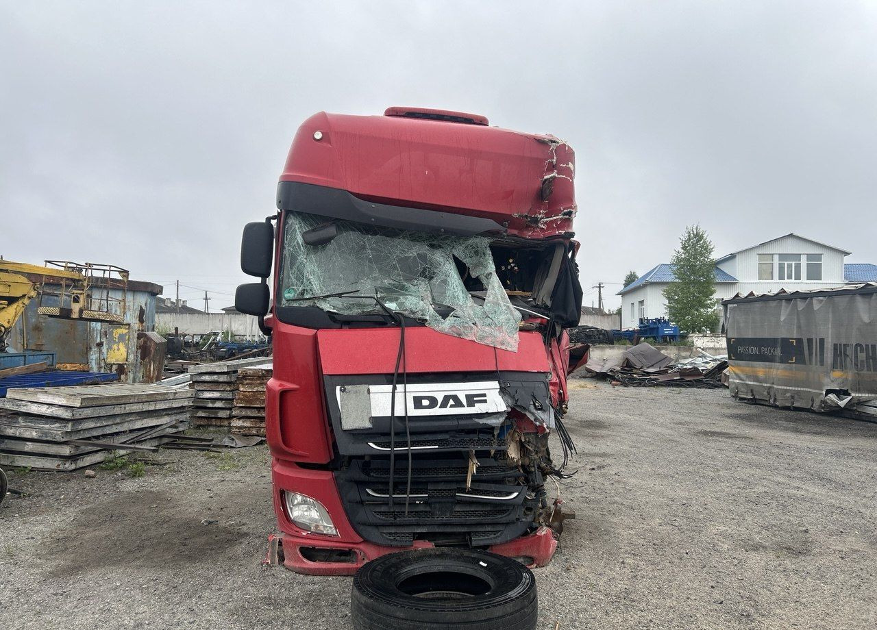 DAF XF - Контейнеровоз (BDF, сменный кузов): фото 2 DAF XF - Контейнеровоз (BDF, сменный кузов): фото 2