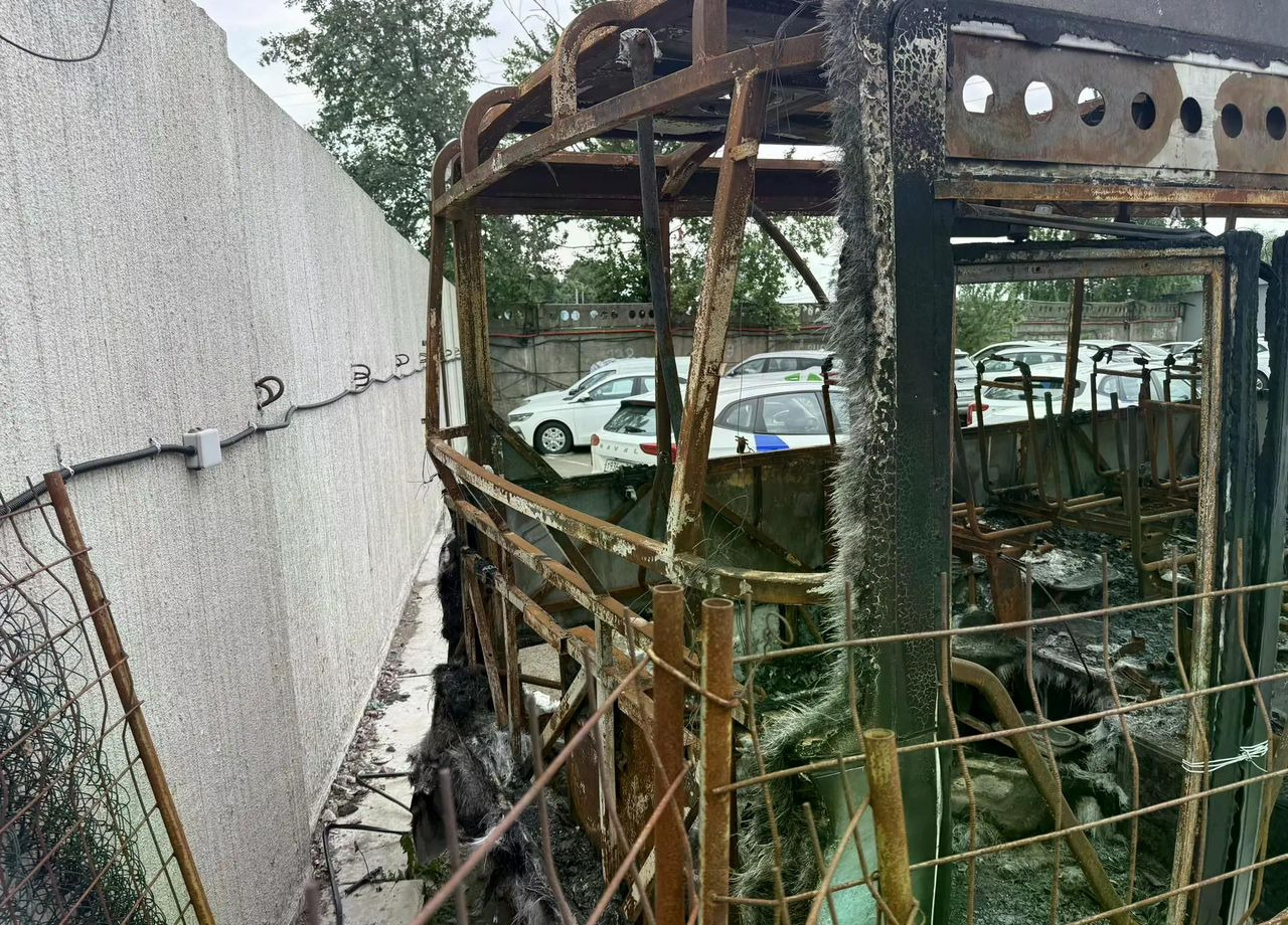 Городской автобус ПАЗ Вектор Next: фото 39