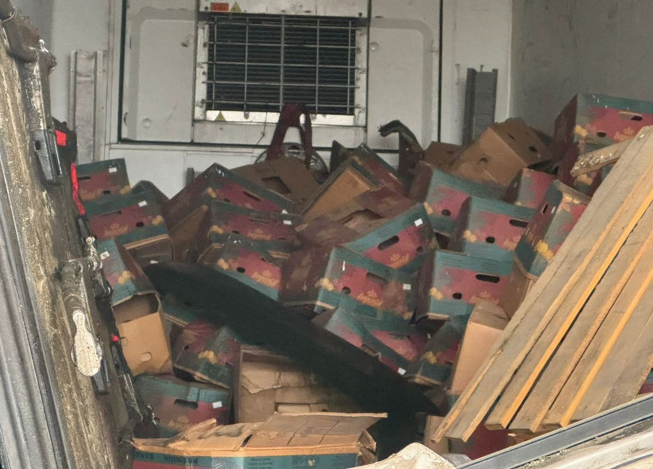 Полуприцеп-рефрижератор Schmitz Cargobull SKO 24: фото 20