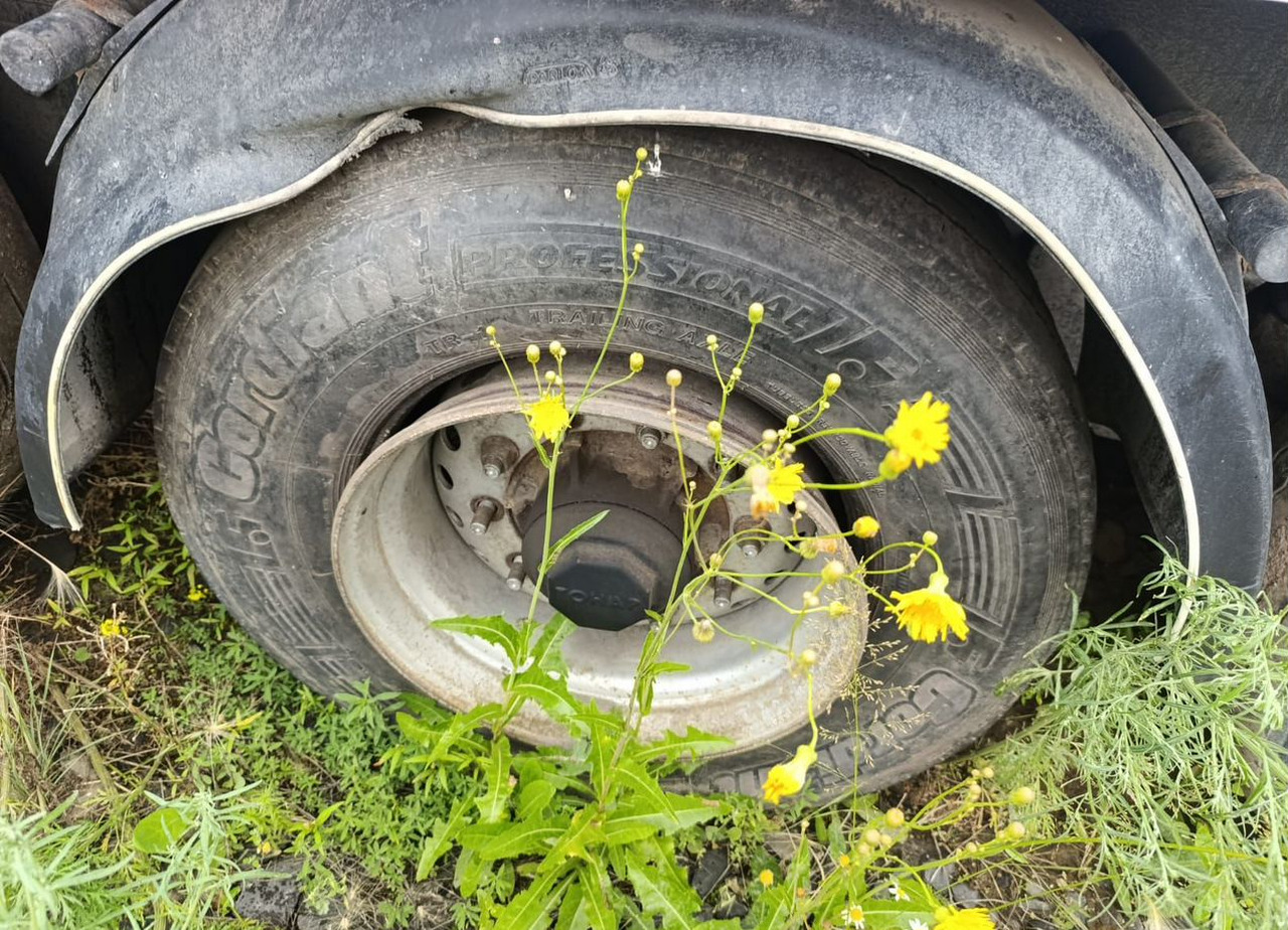 Полуприцеп-рефрижератор Тонар 97861: фото 7