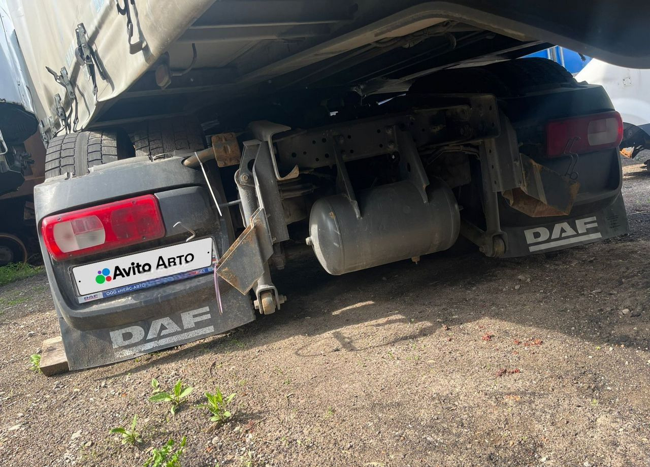 Тягач DAF XF: фото 6