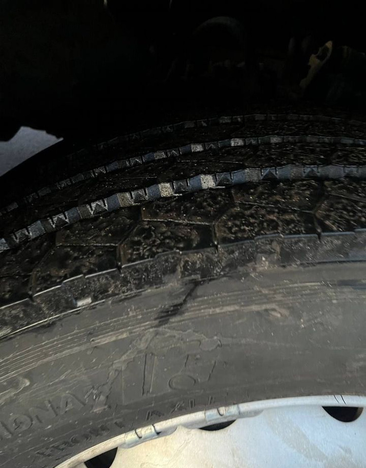 Тягач Scania R: фото 10