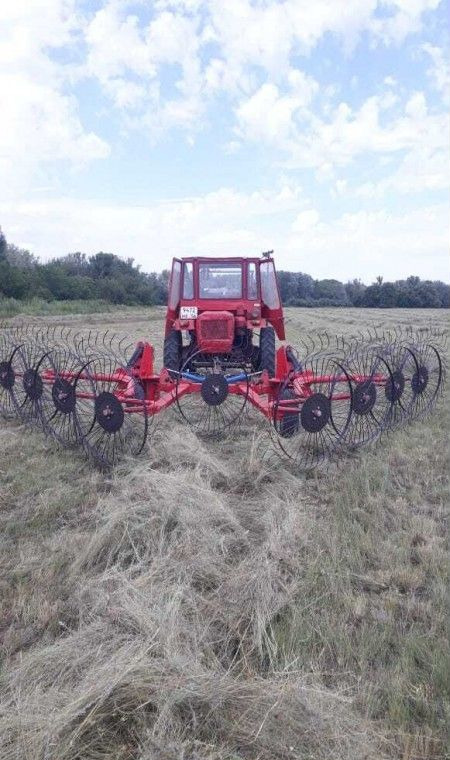 Грабли-ворошилки Magnus ГBВ-6М 9 колес - Сеноворошилка: фото 1 Грабли-ворошилки Magnus ГBВ-6М 9 колес - Сеноворошилка: фото 1